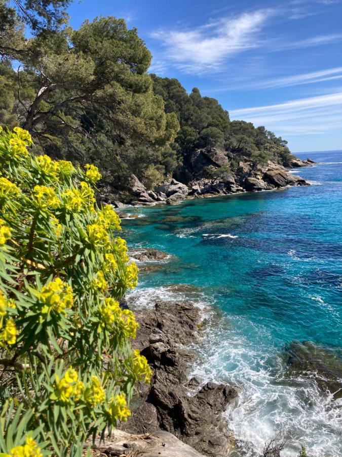 Studio 110 Grande Terrasse Proche Mer Bandol Exterior photo